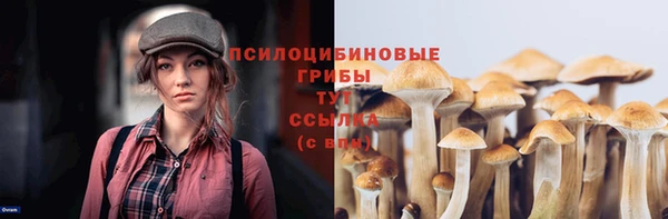 соль курить ск Белокуриха
