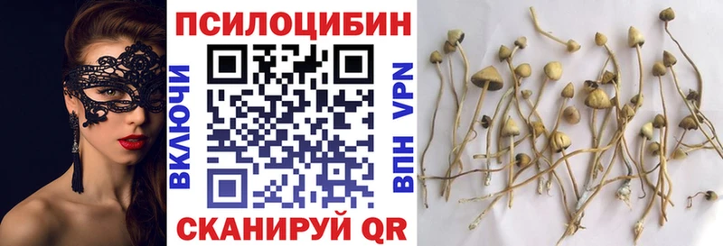 hydra рабочий сайт Новая Усмань Галлюциногенные грибы ЛСД купить наркотик