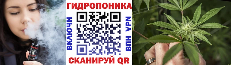 mega tor  Новая Усмань  Шишки марихуана MAZAR 